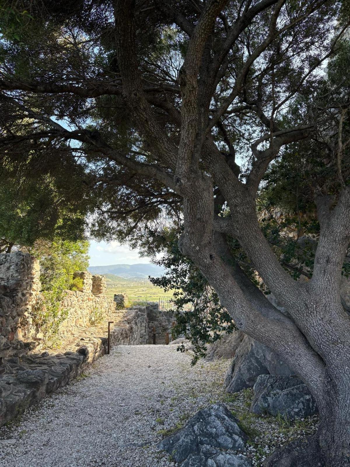 Hotel Villa Mare San Giovanni  エクステリア 写真